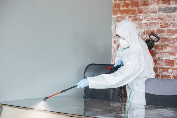 Best Mold Odor Removal Services  in Rkville, PA